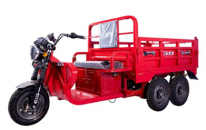5 Wheel EV Cargo Tricycle